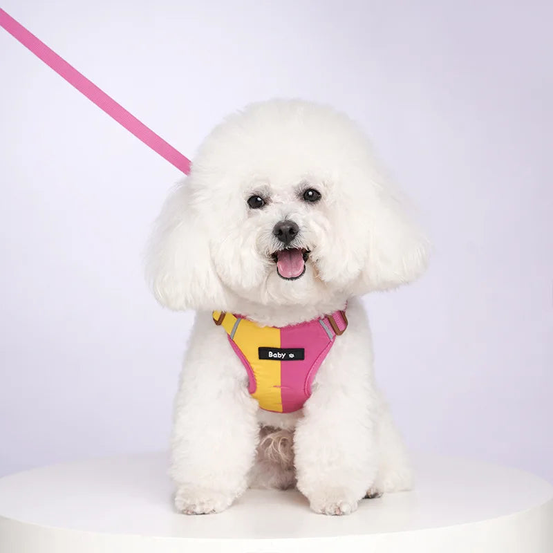 Ensemble Harnais et Laisse Réfléchissants Ajustables pour Chiens et Chats de Petite et Moyenne Taille