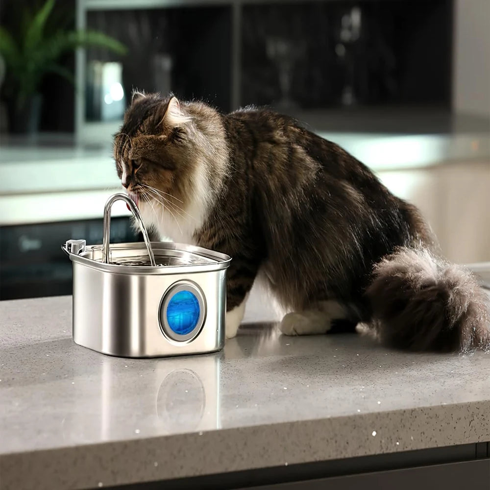 Fontaine à eau automatique en acier inoxydable de 3,2 L pour chat, distributeur d'eau intelligent pour animaux de compagnie avec capteur pour chats et chiens