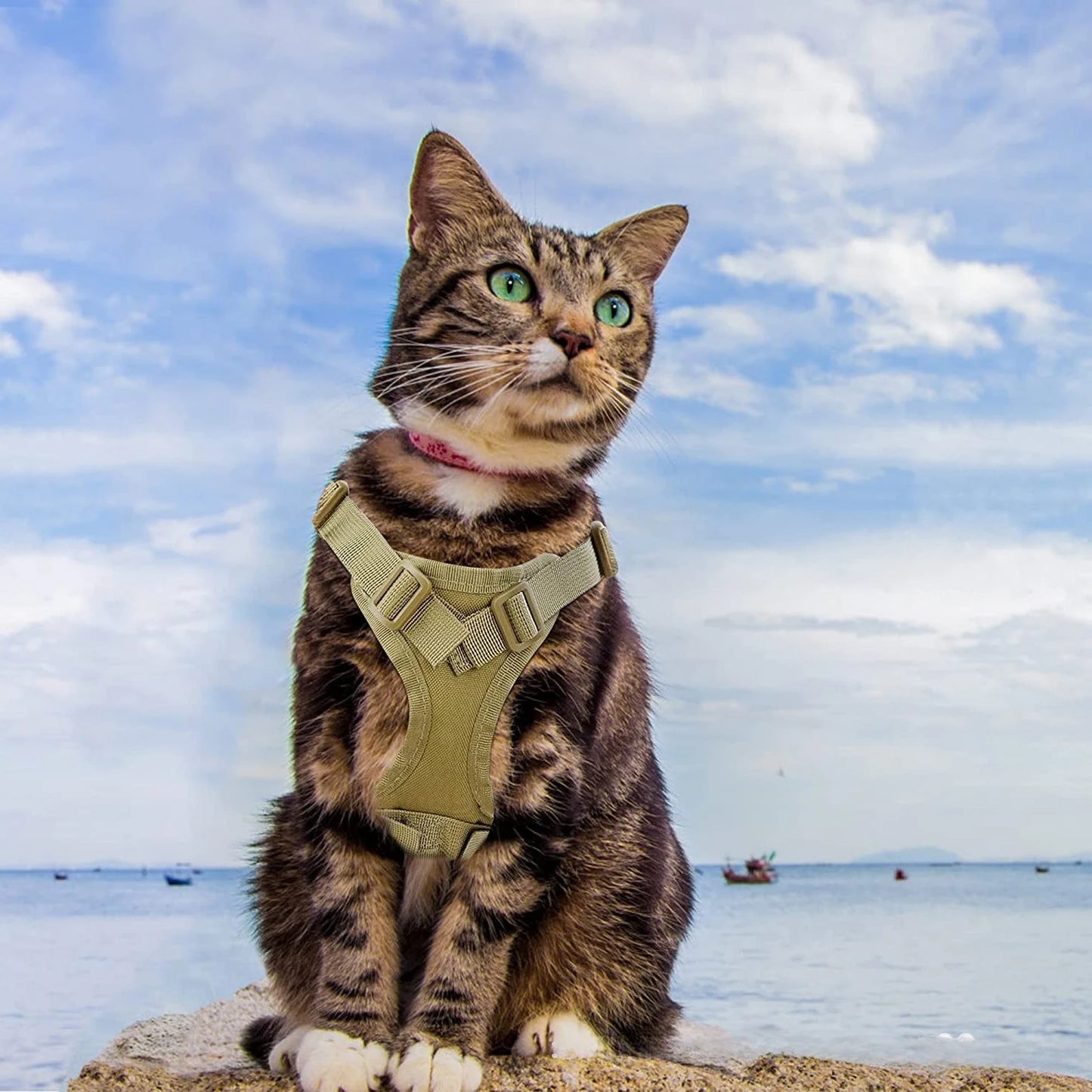Tactical Vest Harness for Cats & Small Dogs with Bonus Stickers