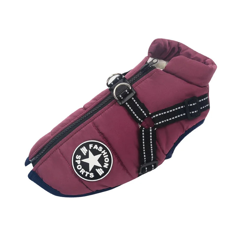 Veste imperméable pour chien avec harnais