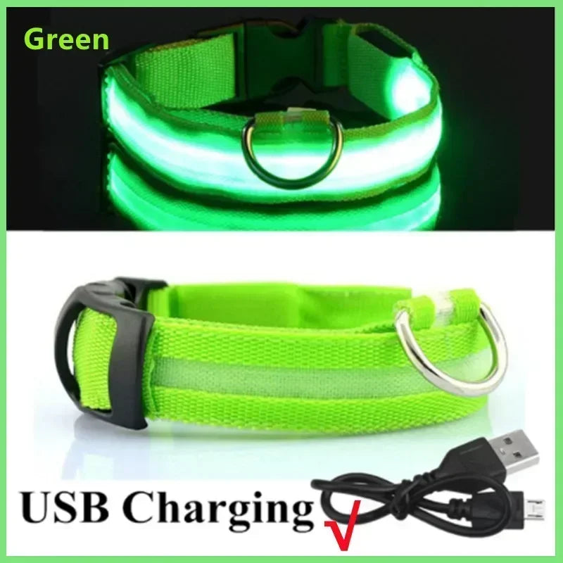 Collier lumineux LED pour chien - Réglable, clignotant, rechargeable - Collier lumineux pour la sécurité nocturne - Harnais lumineux anti-perte pour chien