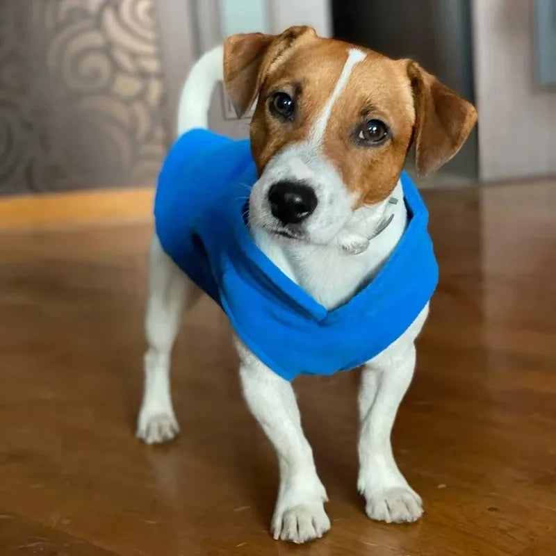 Gilet Polaire pour Petits Chiens et Chats | Manteau d'Hiver Chaud pour Chihuahuas et Bouledogues Français