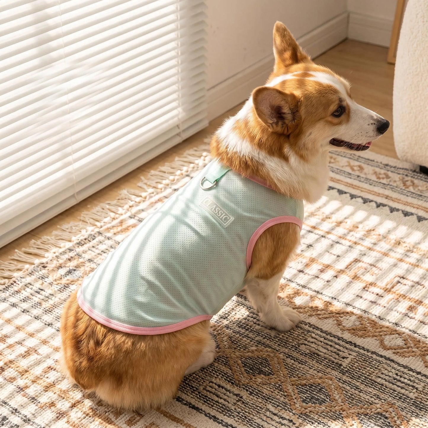 Breathable Mesh Cooling Vest with D-Ring for Small Dogs