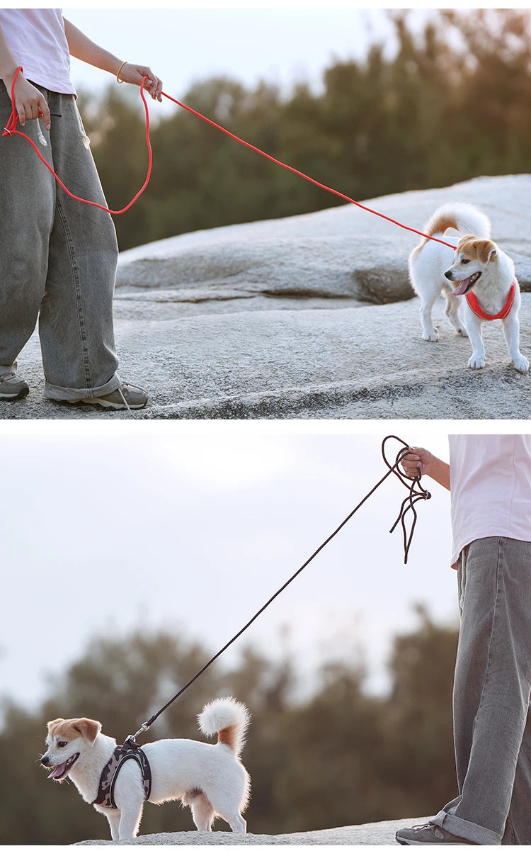 Reflective Dog & Cat Harness with Leash Set