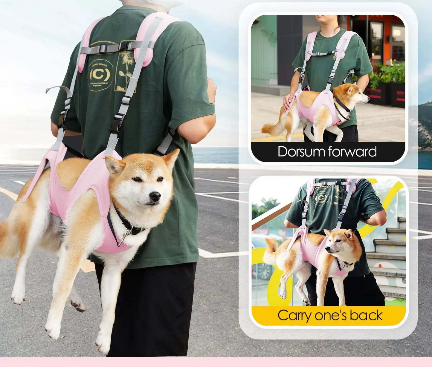 Breathable Pet Carrier Backpack - Adjustable Design for Small to Medium Dogs