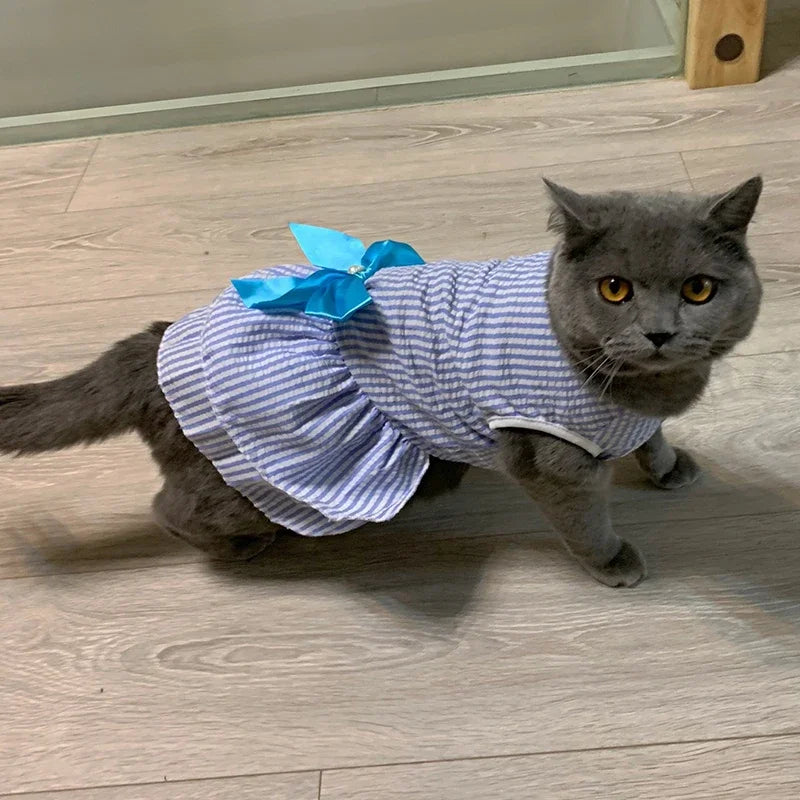 Robe de princesse pour animaux de compagnie - Robe d'été à rayures et carreaux avec nœud pour chats et petits chiens