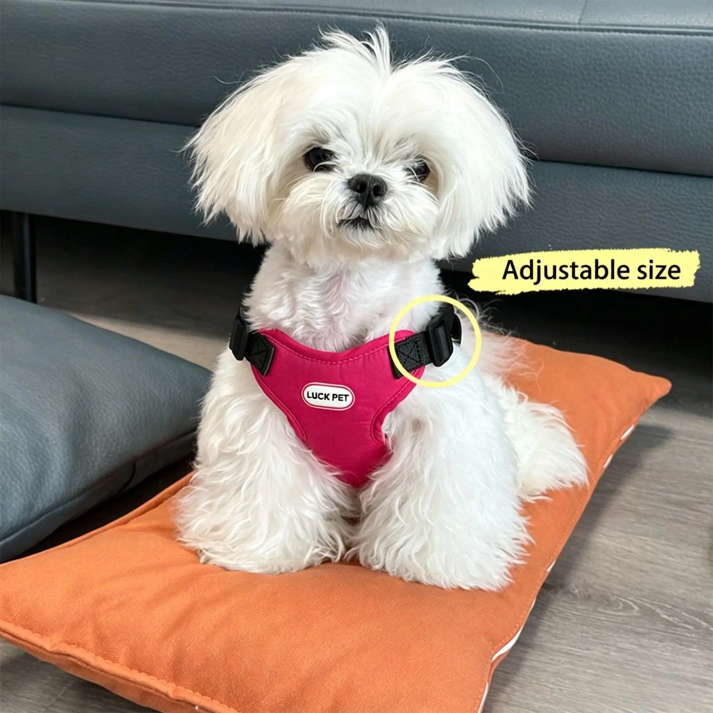 Breathable Vest Harness & Leash Set for Small Dogs
