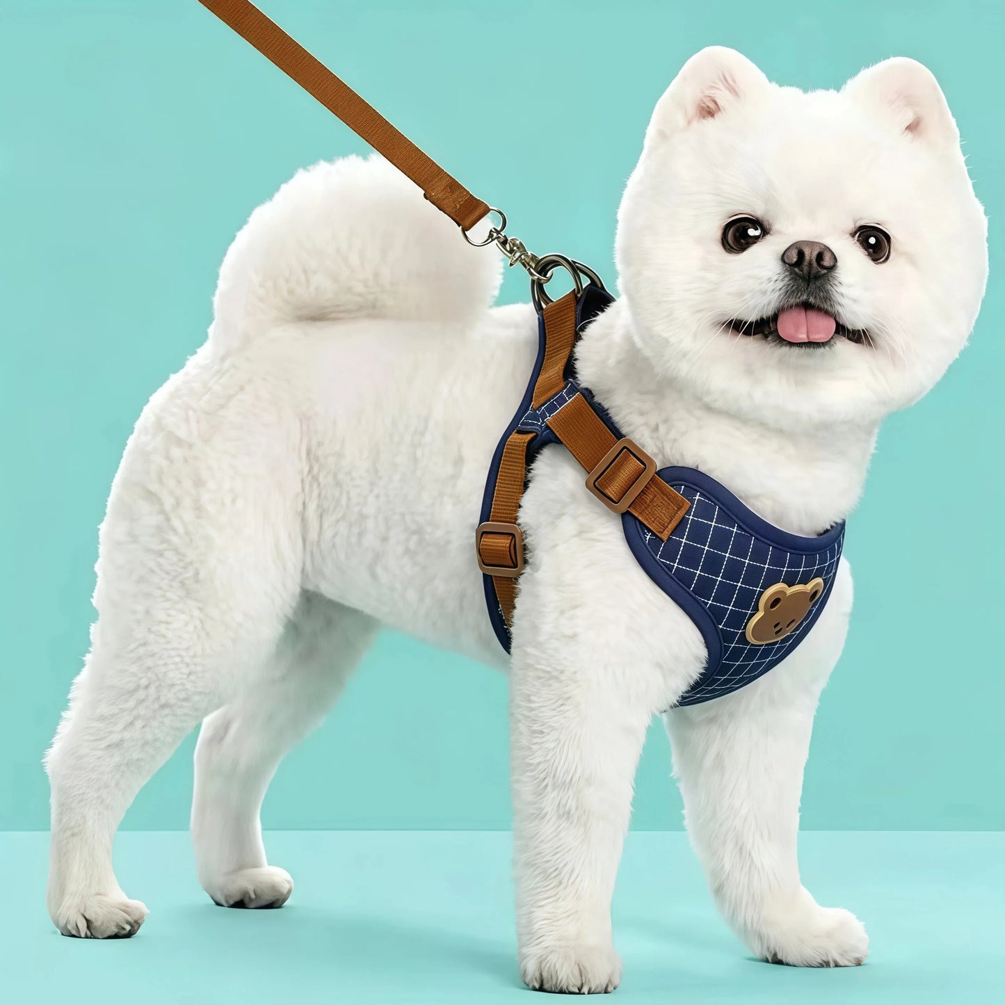 Breathable Vest Harness & Lead Set for Small Dogs & Cats