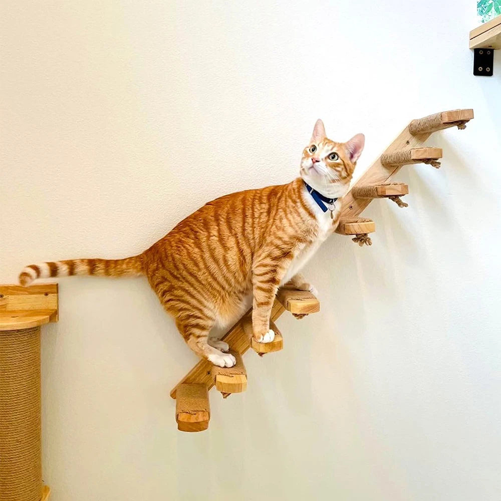 Wall-Mounted Wooden Cat Climbing Steps with Sisal