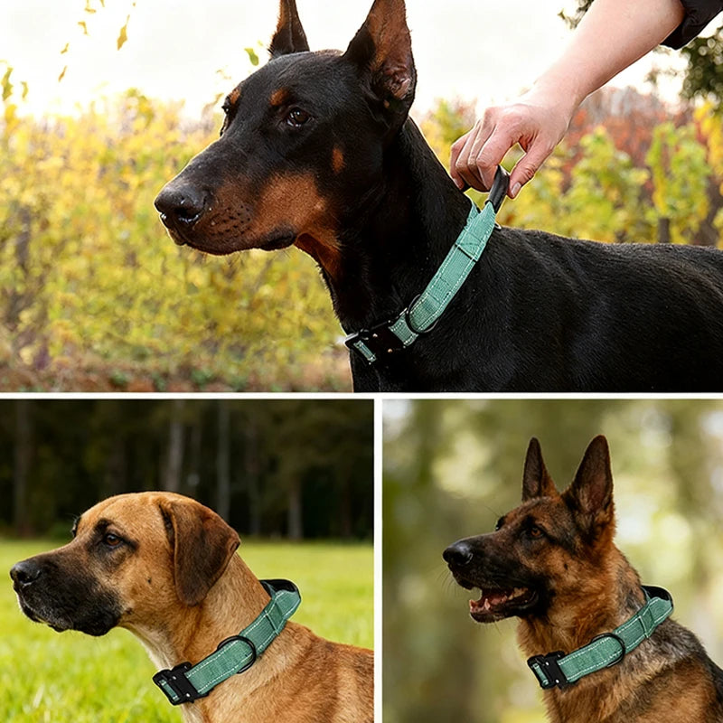 Tactical Dog Collar with Leather-Wrapped Leash Handle