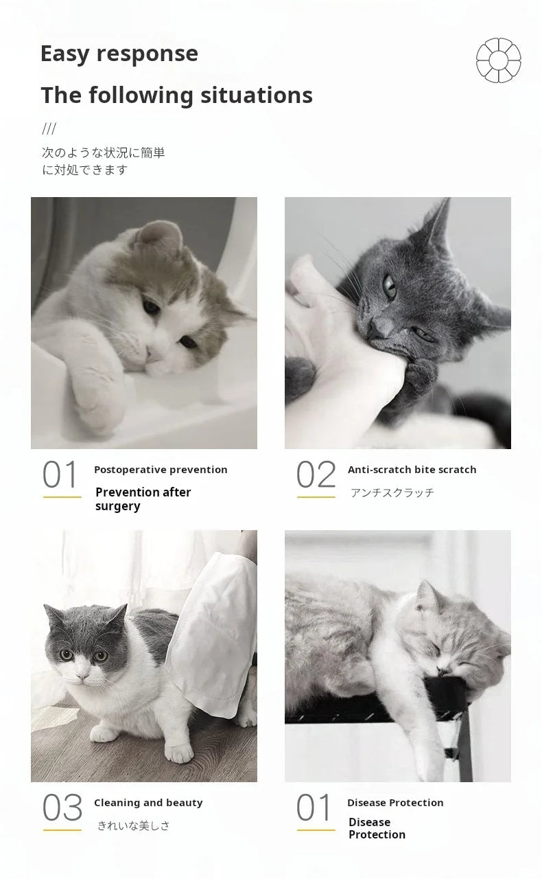 Collerette de protection tournesol – Cône élisabéthain en coton doux pour chats et chiens