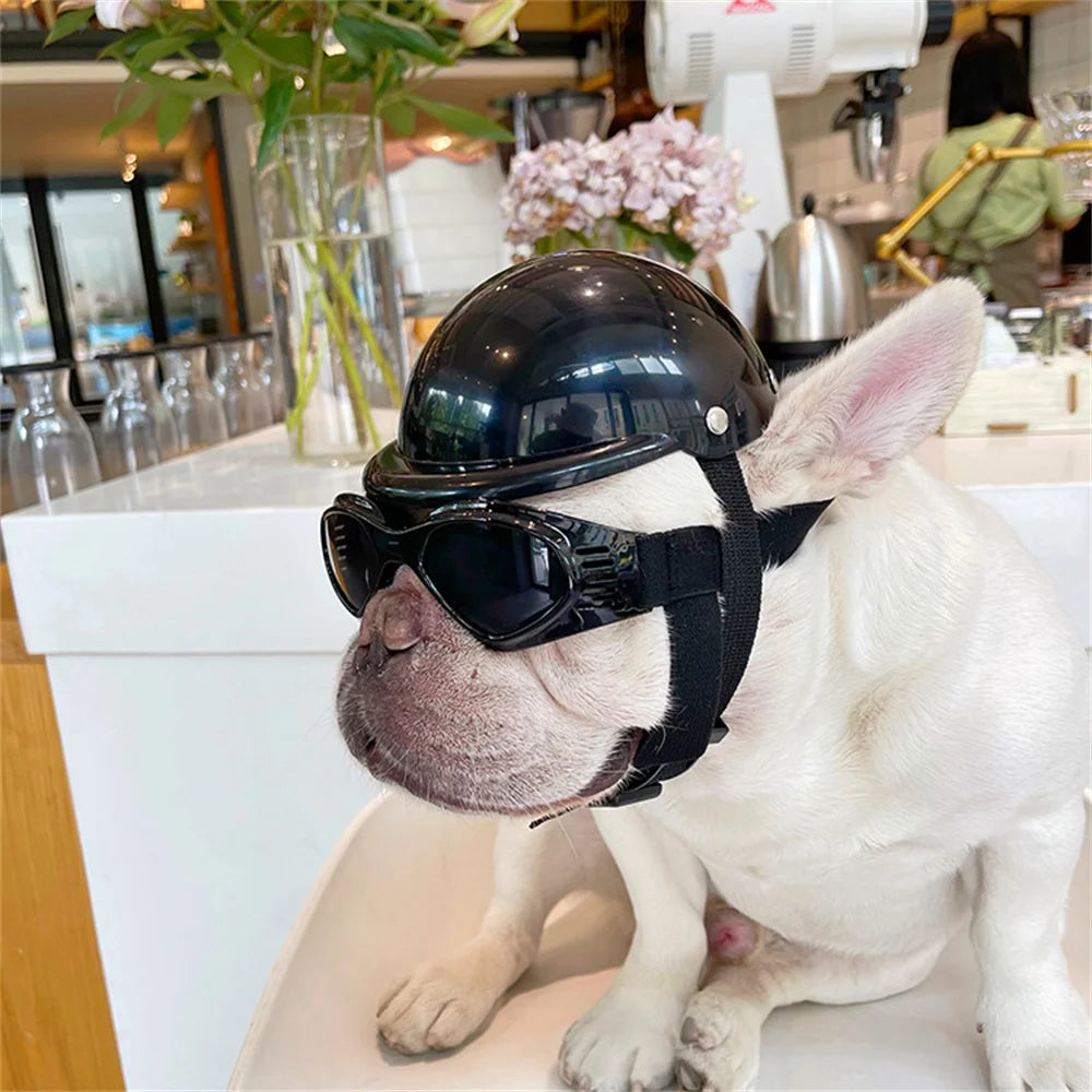 Novelty Riding Helmet Hat for Dogs & Cats