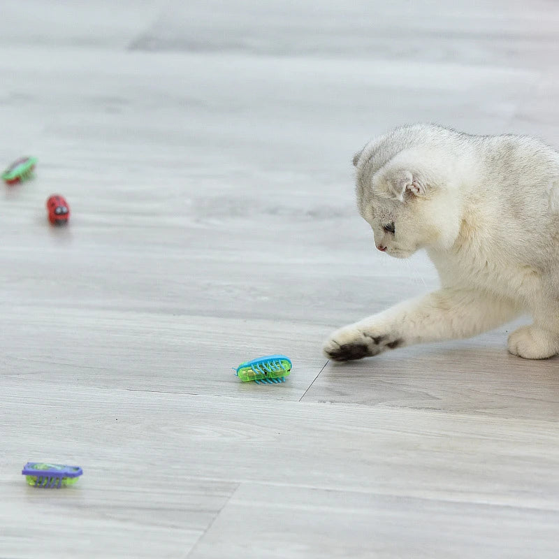 Electronic Cat Bug & Mouse Toys