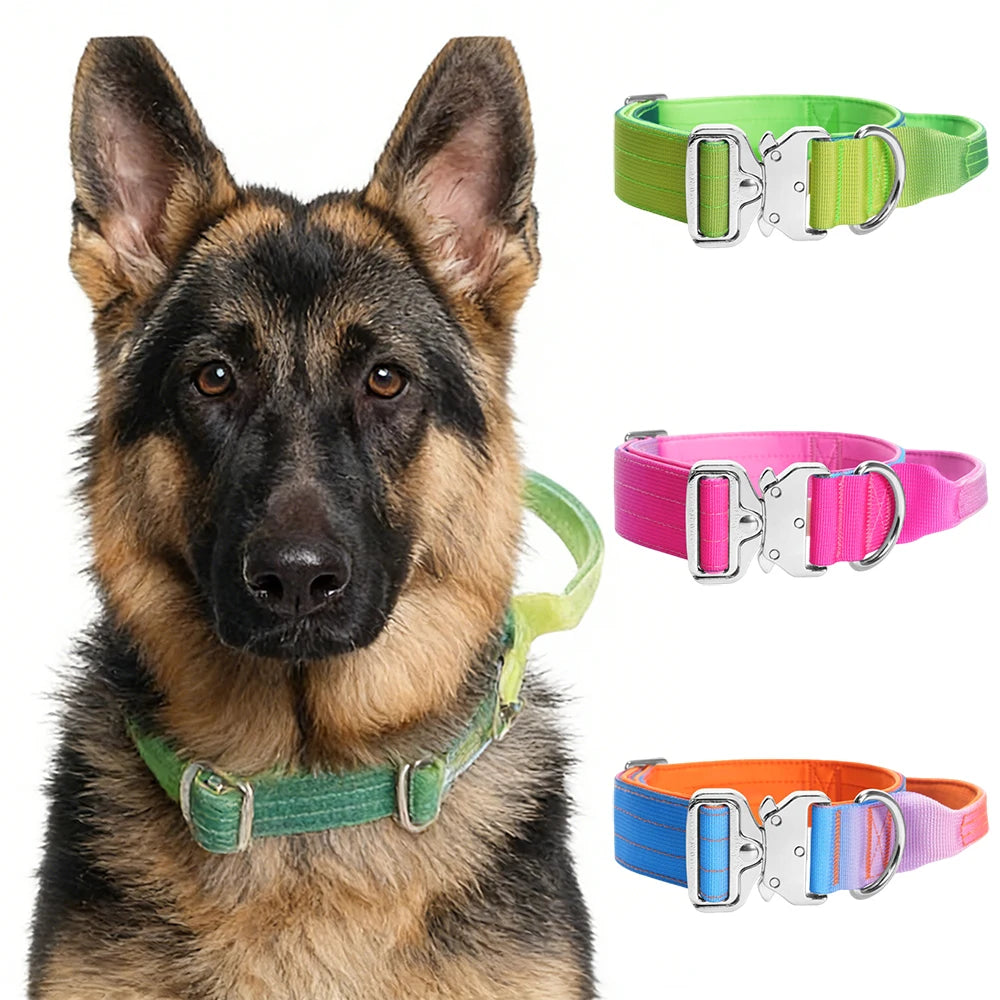 Wide Padded Dog Collar with Handle | Gradient Design for Large Dogs