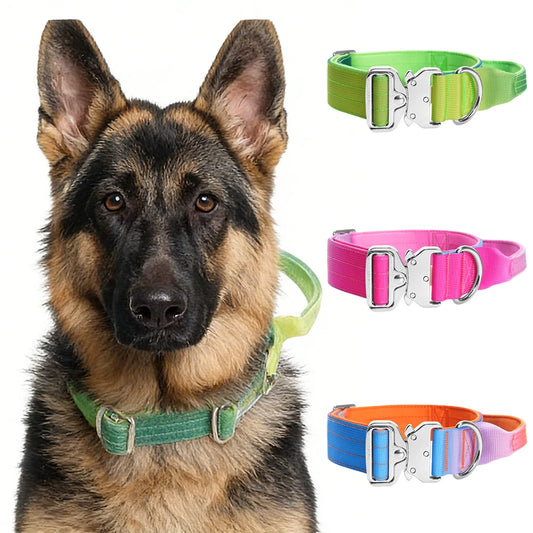 Wide Padded Dog Collar with Handle | Gradient Design for Large Dogs