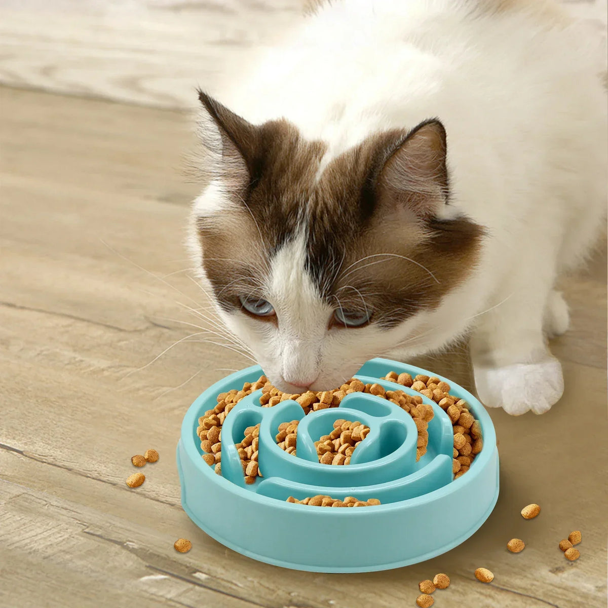 Dog Slow Feeder Bowl with Anti-Slip Pads