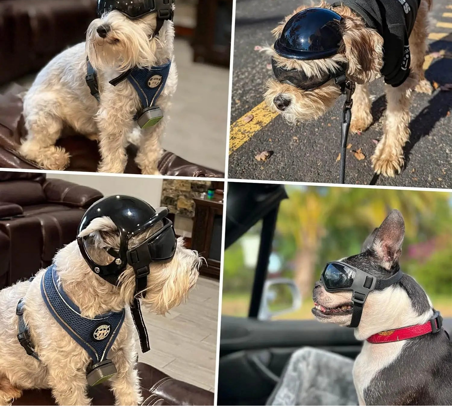 Dog Motorcycle Helmet & Goggles Set - Adjustable Safety Gear for Small Dogs