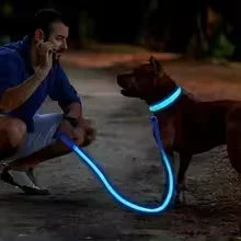Collier lumineux LED pour chien - Réglable, clignotant, rechargeable - Collier lumineux pour la sécurité nocturne - Harnais lumineux anti-perte pour chien