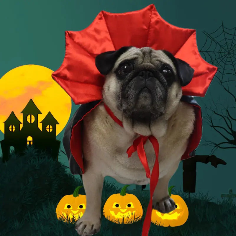 Costume de vampire pour animal de compagnie