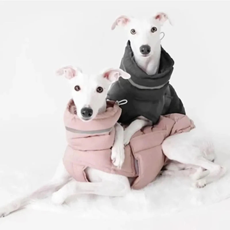 Windproof Winter Down Vest for Small Dogs