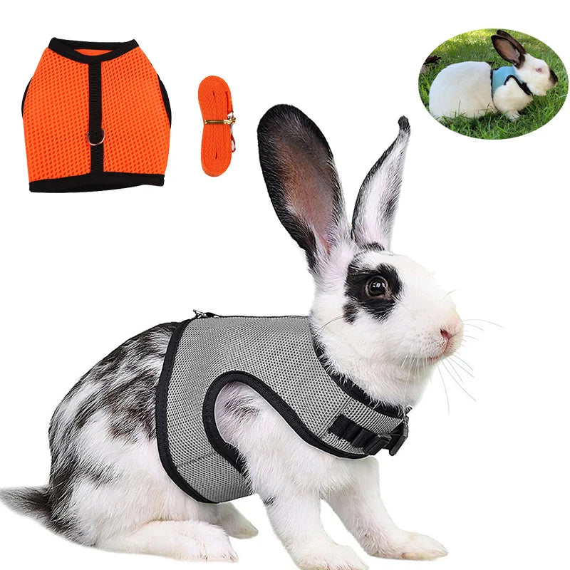 Mesh Breathable Harness & Leash Set for Rabbits, Ferrets & Small Pets