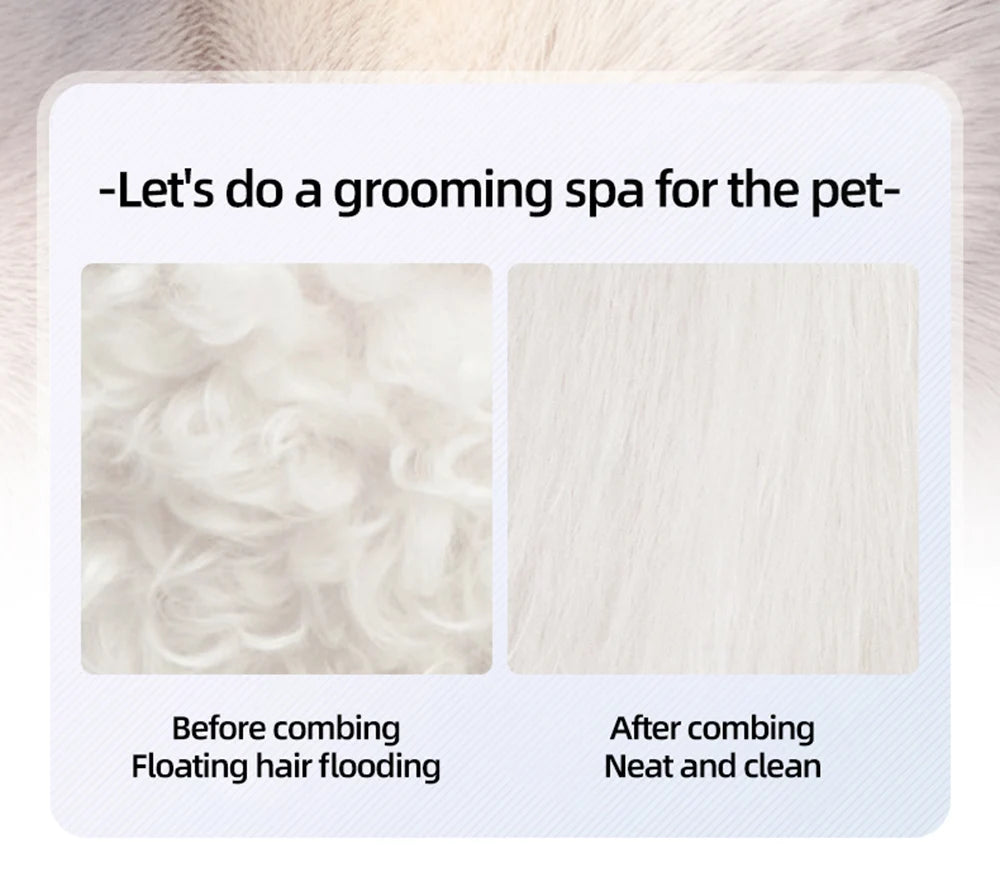 Newest Cat Dog Spray Comb Pet Grooming Accessories Multi Functional Cats Massage Brush Hair Removal Combs Cepillo Vapor Gato