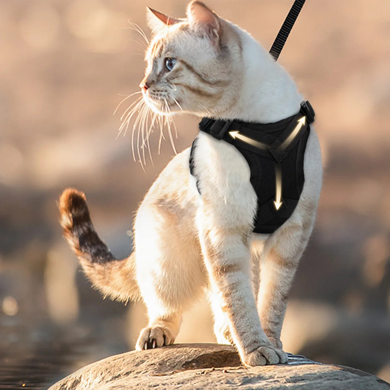 Escape-Proof Cat & Small Dog Harness Set