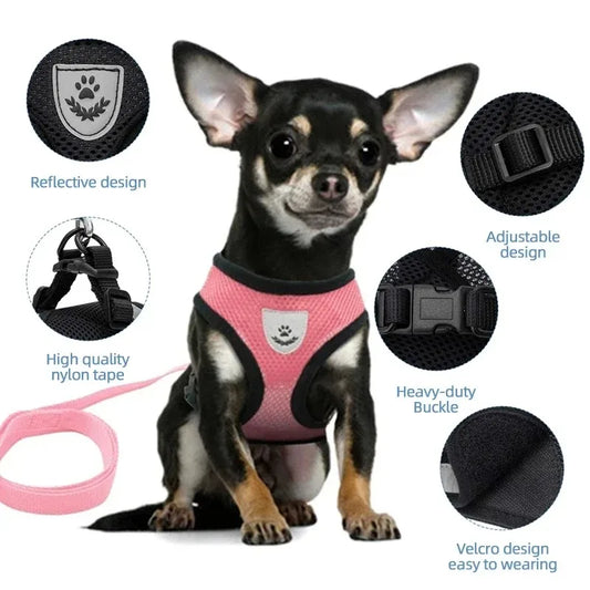 Tactical Dog Vest & Collar Set - Chest Strap Harness for Small Breeds