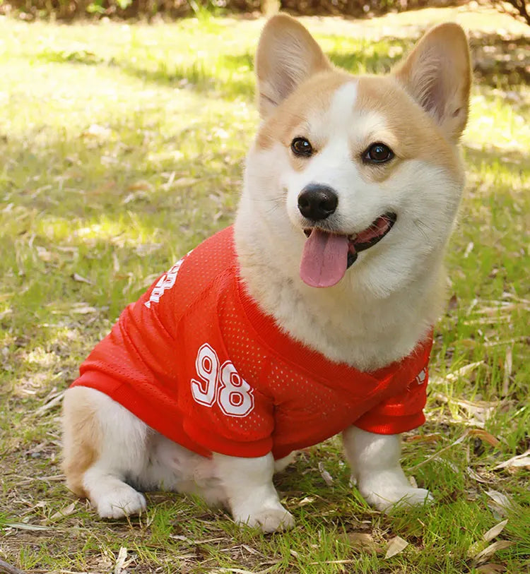 LA Style Dog Cooling Vest | Summer Breathable Shirt for Small to Large Dogs