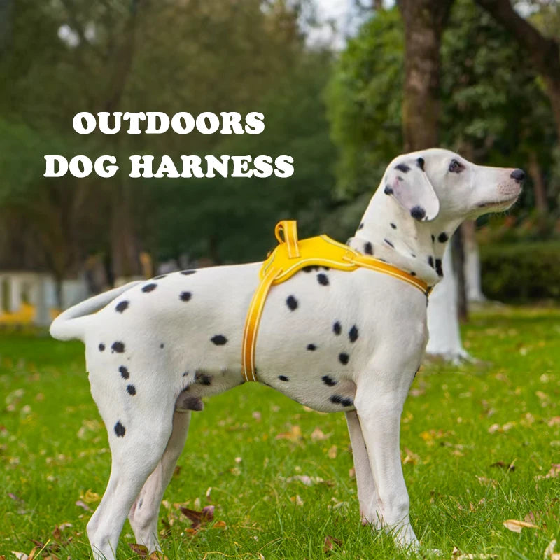 Ultra-Light Dog Harness Vest — Quick-Fit Saddle Design, No-Pull Chest Strap & Escape-Proof