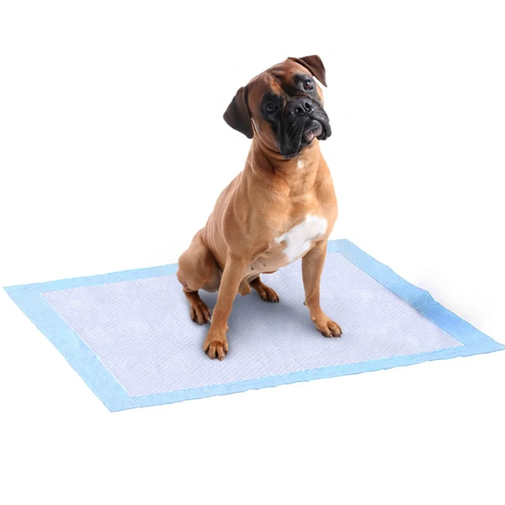 Alèses jetables pour chiens - Tapis absorbants pour chiots pour l'apprentissage de la propreté