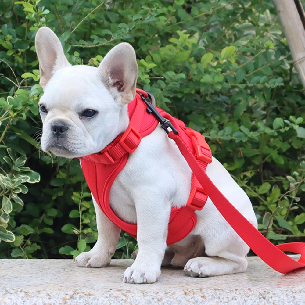 Breathable Adjustable Dog Harness Vest