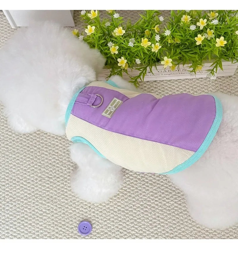 Gilet rafraîchissant réfléchissant et t-shirt d'été pour chiens et chats de petite, moyenne et grande taille