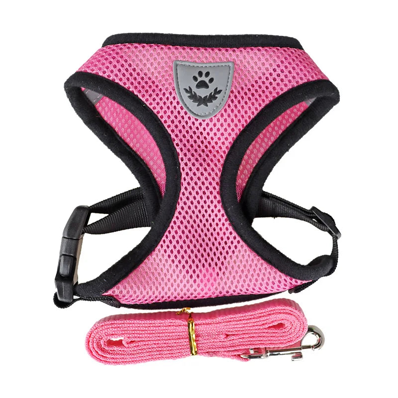 Harnais anti-évasion pour chat et chien avec laisse - Gilet en maille réglable pour la promenade
