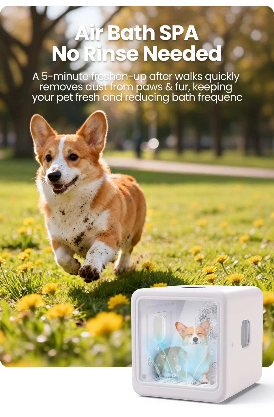 Boîte de séchage intelligente pour animaux de compagnie de 70 L avec séchage à 360° et contrôle automatique de la température