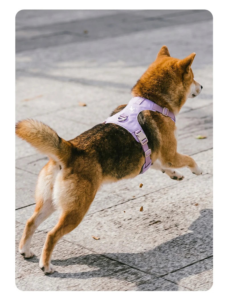 Lightweight Dog Harness & Leash Set Anti-Pull Escape-Proof Pet Walking Lead for Small Medium Large Dogs