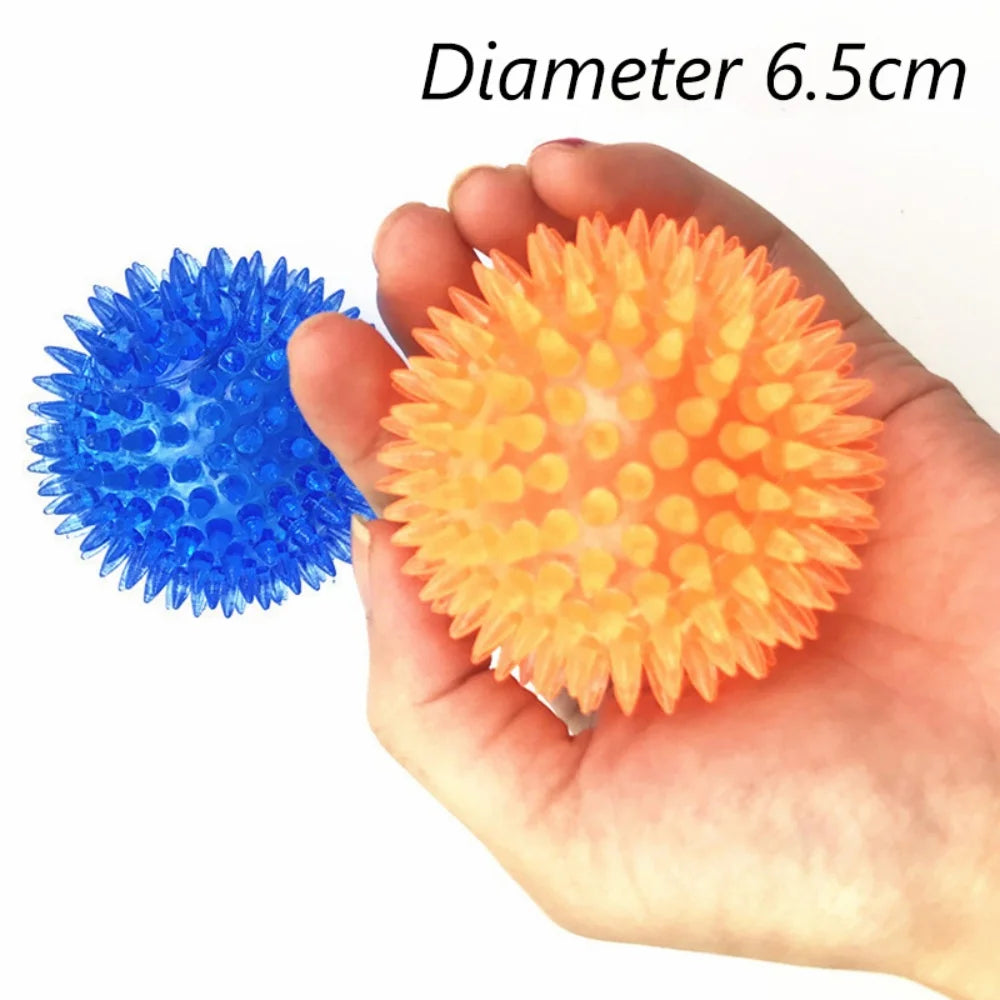 Squeaky Rubber Play Ball for Dogs