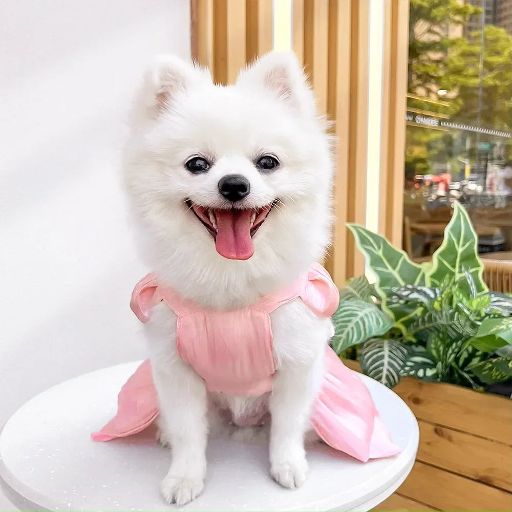 Bowknot Princess Dress for Small Dogs & Cats