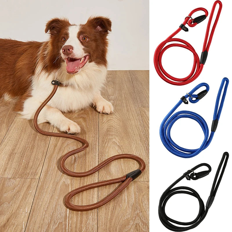 Nylon Slip Lead Training Leash for Small & Medium Dogs