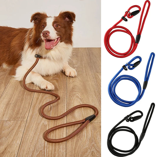 Nylon Slip Lead Training Leash for Small & Medium Dogs
