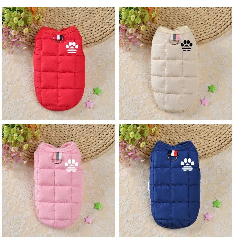 Windproof Padded Dog Coat for Small Dogs