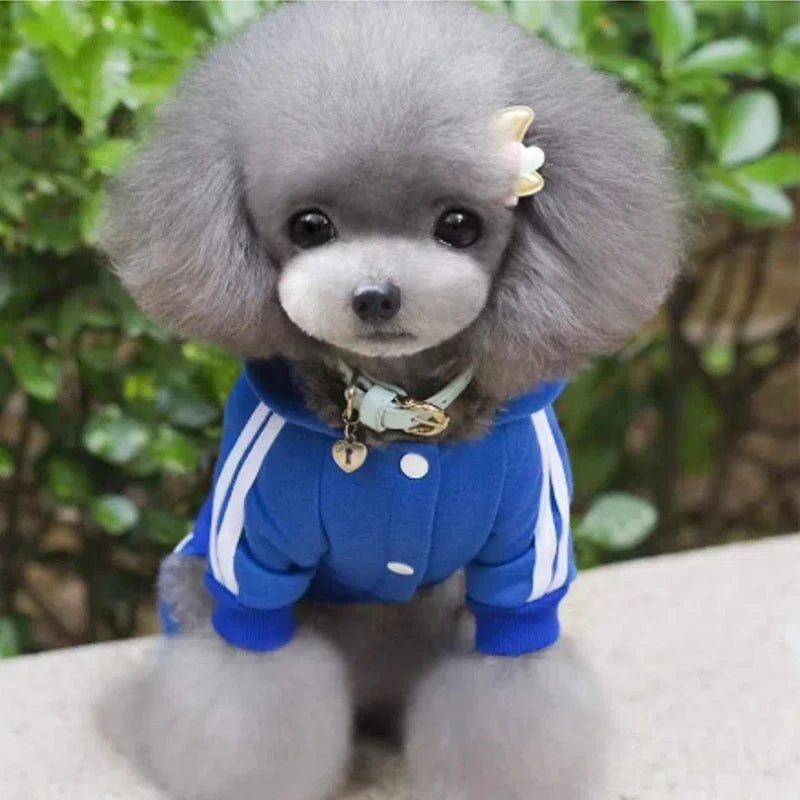 Winter Dog Jumpsuit - Warm Fleece Hoodie for Small to Large Dogs