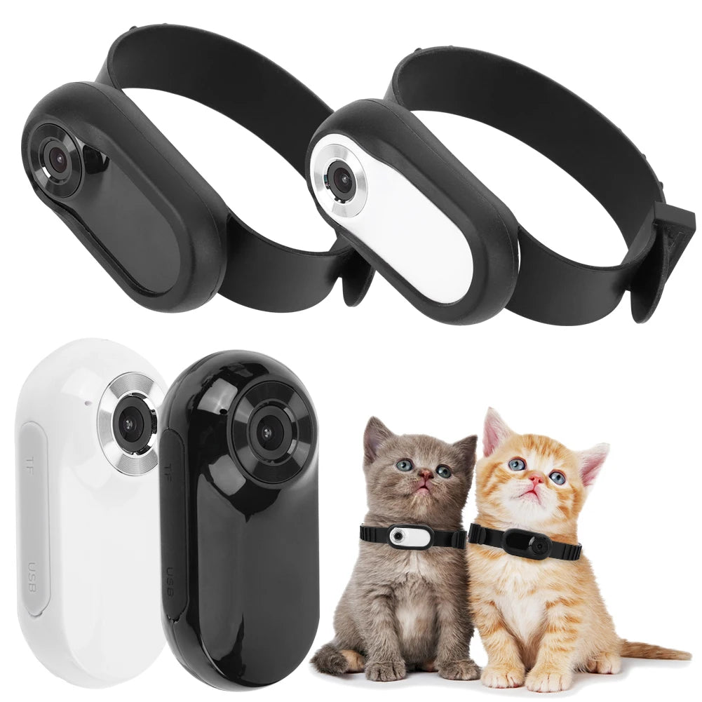 HD 1080P Pet Collar Camera — See the World Through Your Pet's Eyes