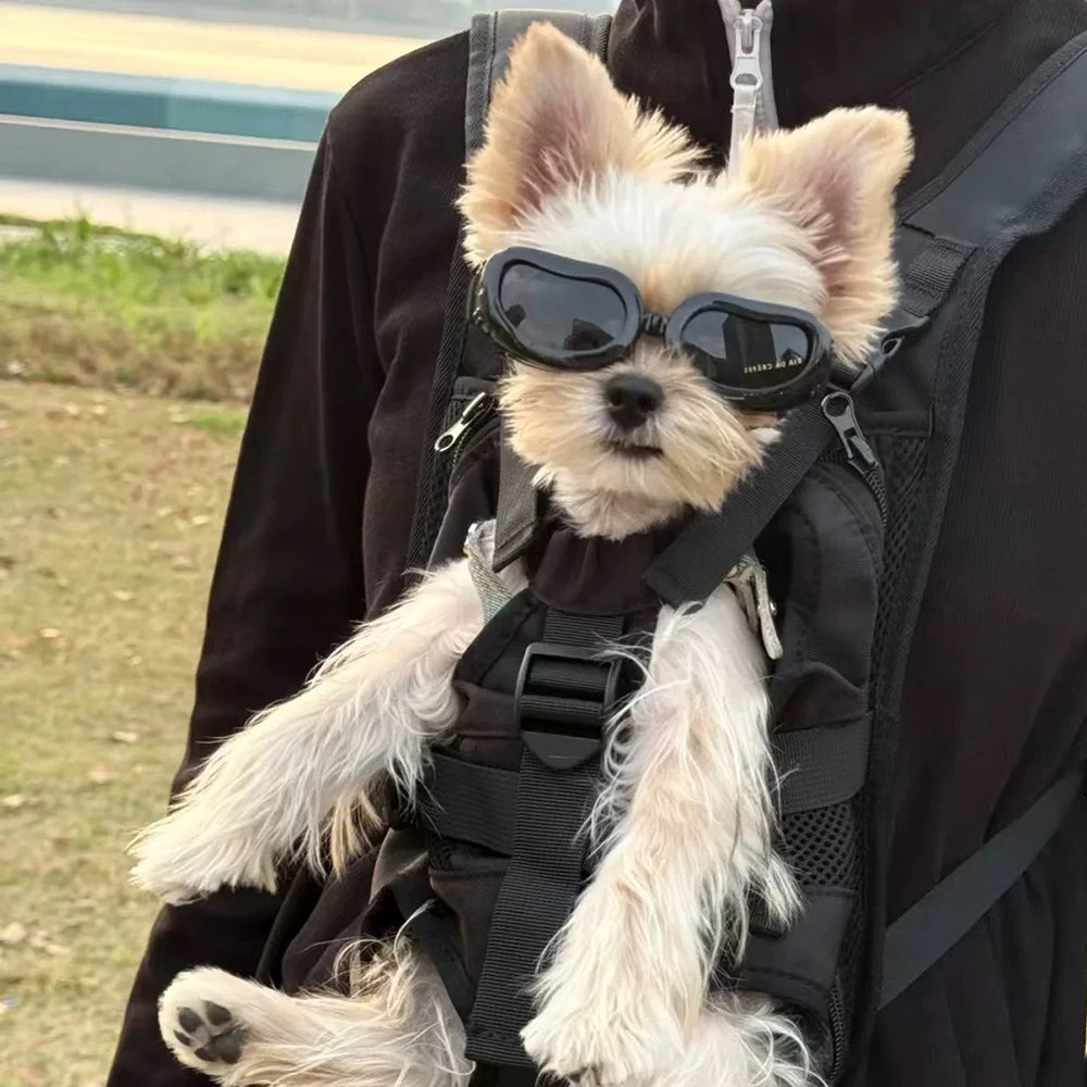 UV & Windproof Sunglasses Goggles for Small Dogs & Cats