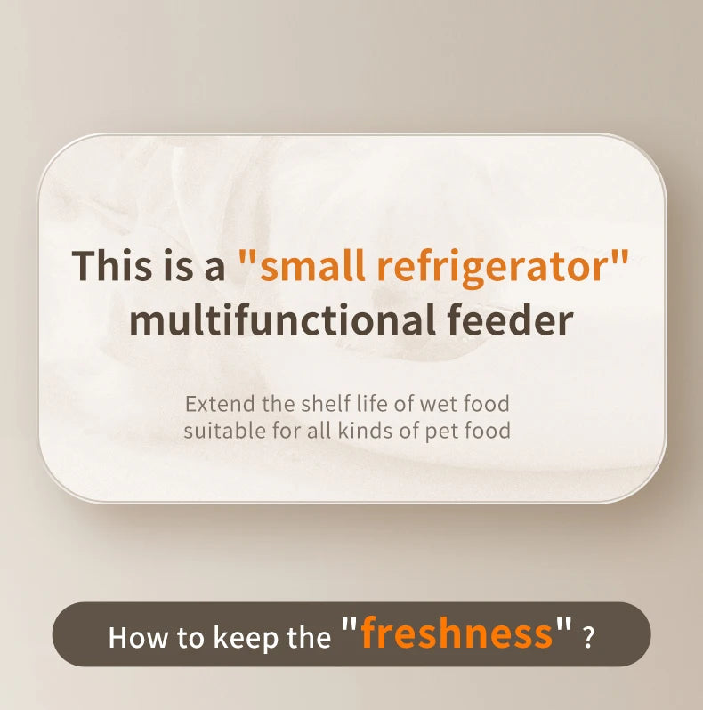 6-Meal Automatic Smart Pet Feeder for Wet & Dry Food