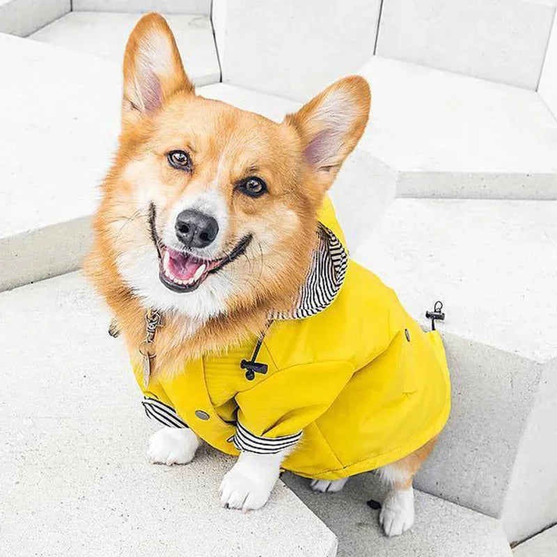 Waterproof Striped Raincoat for Dogs