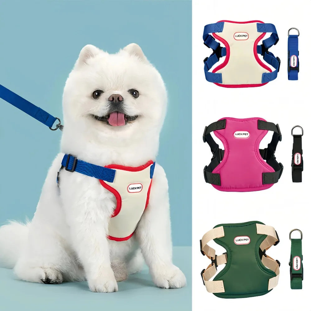 Breathable Vest Harness & Leash Set for Small Dogs