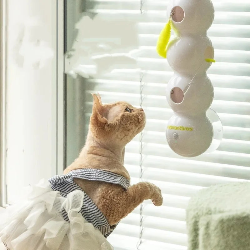 Motion-Activated Cat Toy – Rechargeable Pop-Out Feather Teaser
