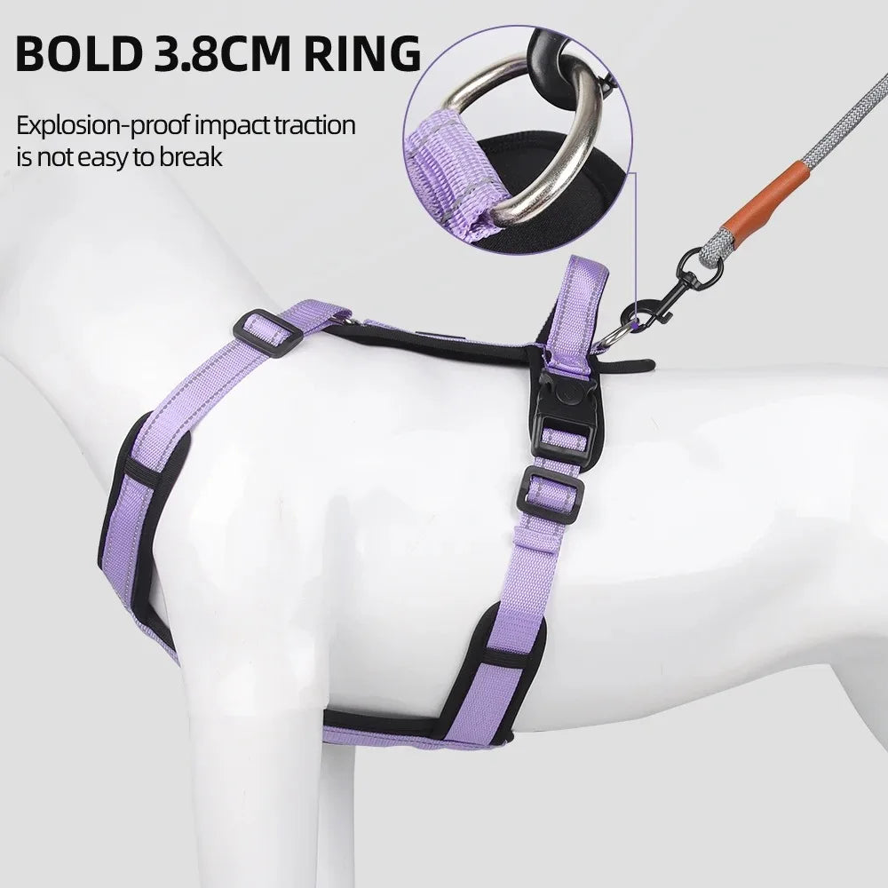 Ensemble Harnais et Collier Professionnel pour Dressage de Chien