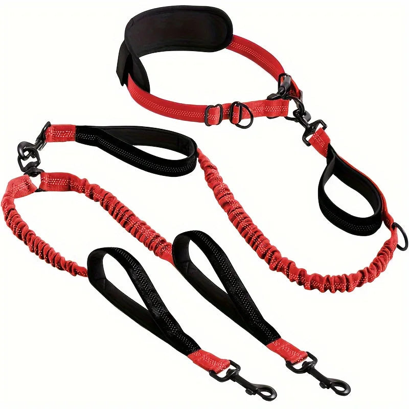Double Dog Leash with Elastic Shock Absorber